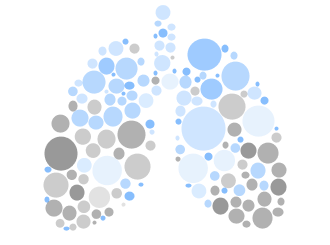 Illustration of lungs