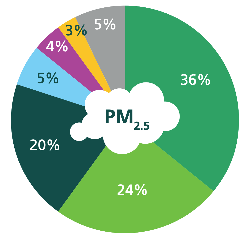 Pie chart showing sources of PM25